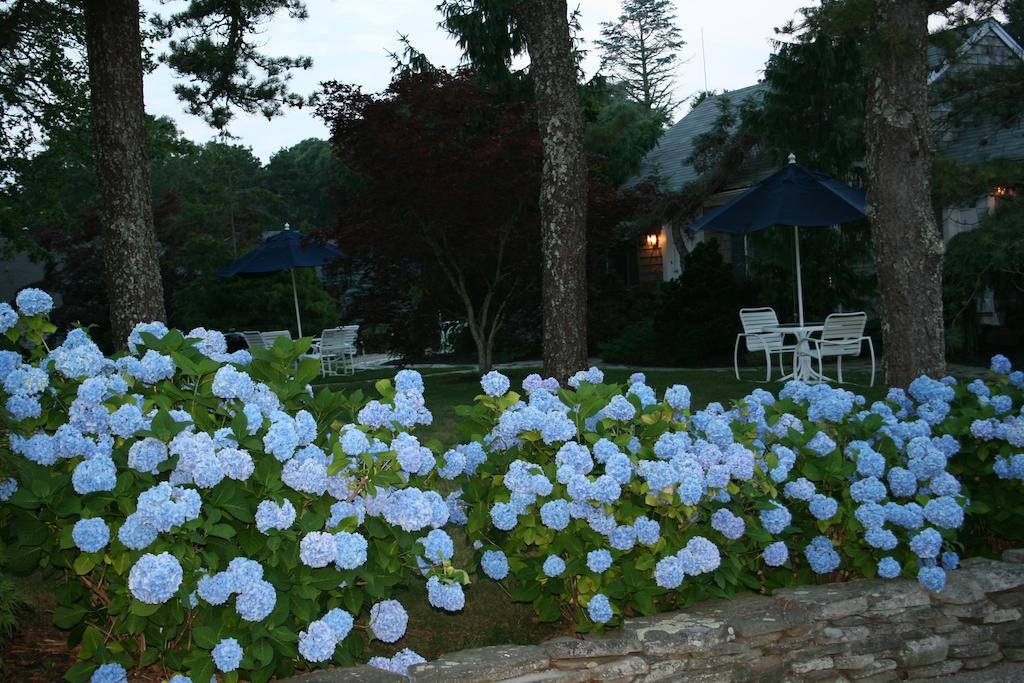 Pleasant Bay Village Resort チャタム エクステリア 写真
